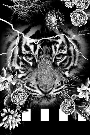 黑白华亿平台印花华亿平台图片