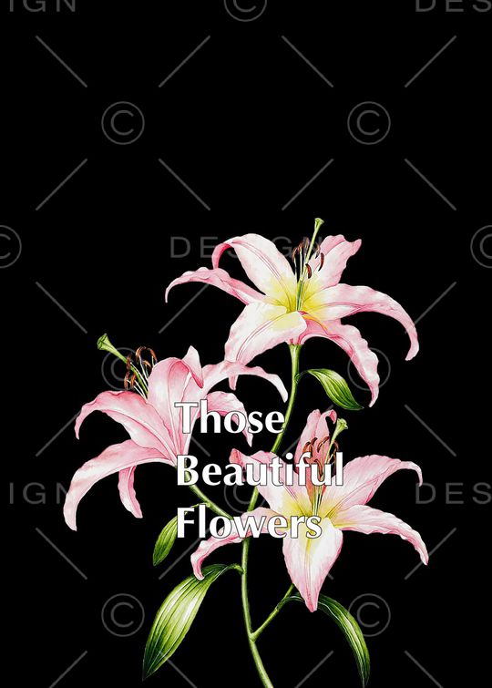 定位花印花华亿平台图片