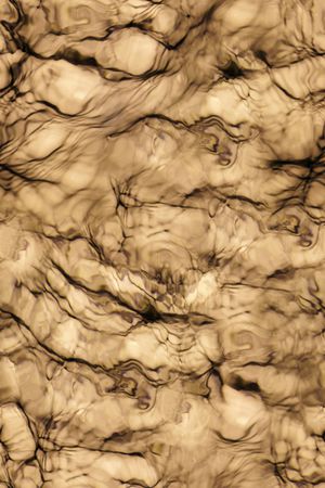 肌理印花华亿平台图片