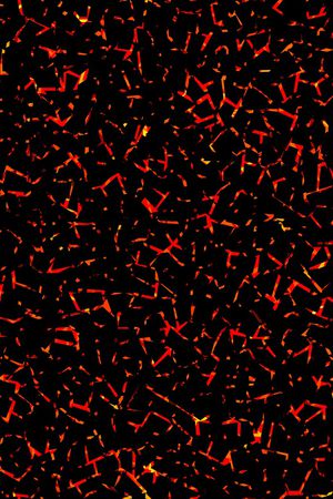 肌理印花华亿平台图片