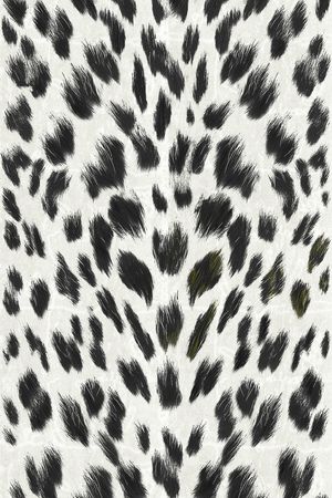 豹纹印花华亿平台图片