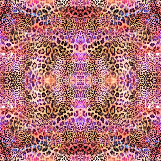 豹纹印花华亿平台图片