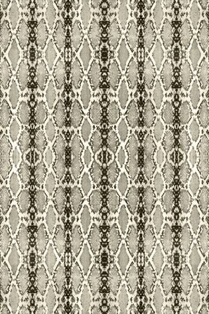 豹纹印花华亿平台图片