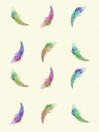 羽毛印花华亿平台图片