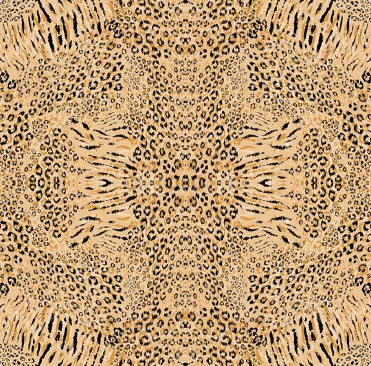 豹纹印花华亿平台图片