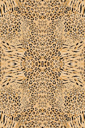 豹纹印花华亿平台图片