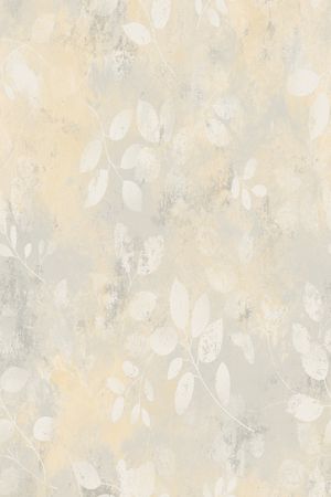 女装印花华亿平台图片