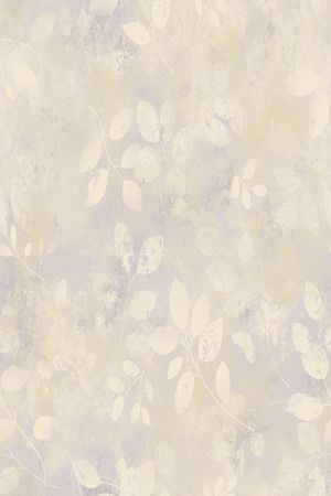 女装印花华亿平台图片