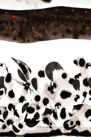 玉兰花印花华亿平台图片