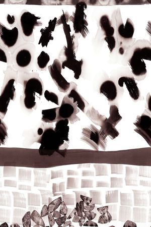 玉兰花印花华亿平台图片