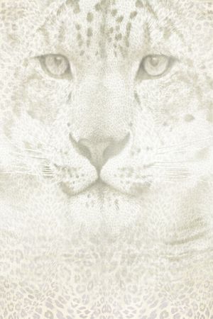 动物纹印花华亿平台图片