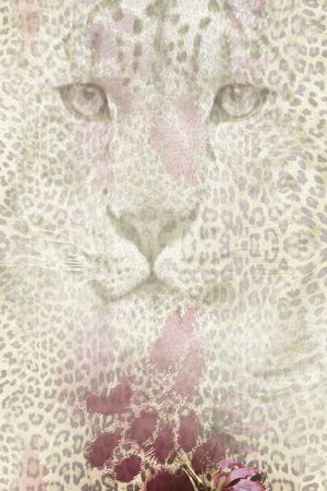 性感印花华亿平台图片