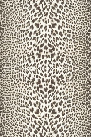 豹纹印花华亿平台图片