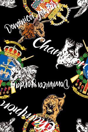 字母印花华亿平台图片