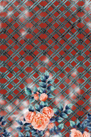 格子印花华亿平台图片