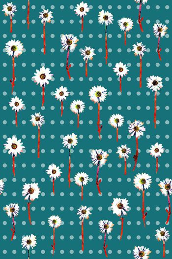 1353012-怡艾舞艾