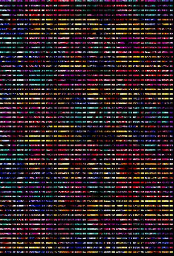 1353022-2019-11-11-1