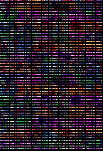 1353023-2019-11-11-2