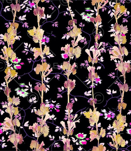 欧美印花华亿平台图片