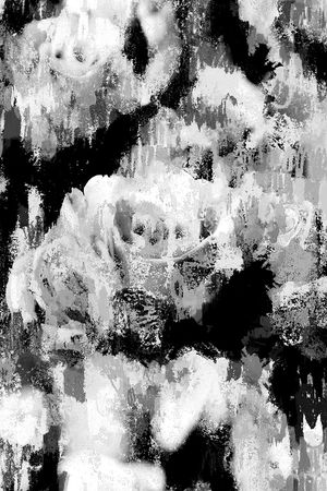 字母印花华亿平台图片