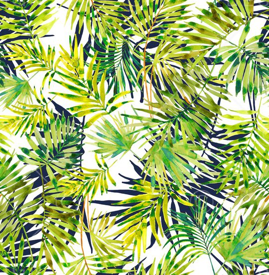 鹦鹉印花华亿平台图片