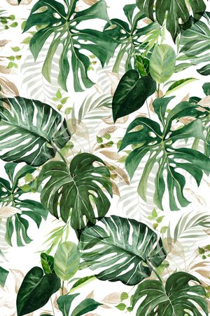 鹦鹉印花华亿平台图片