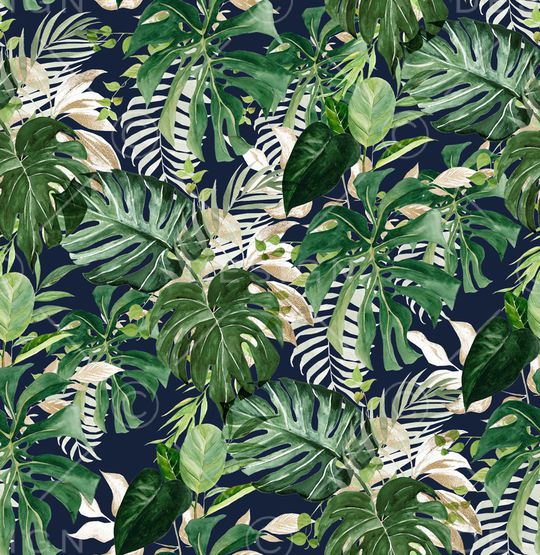 鹦鹉印花华亿平台图片