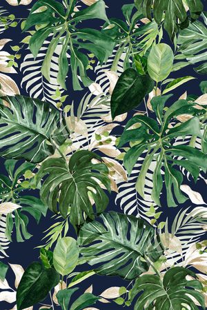 鹦鹉印花华亿平台图片