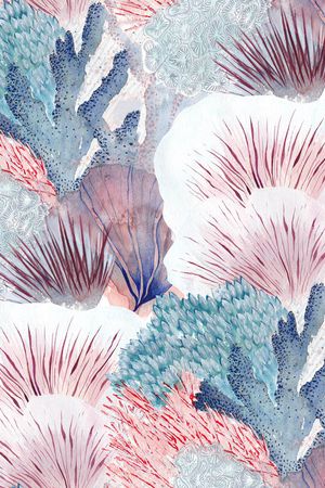 珊瑚印花华亿平台图片