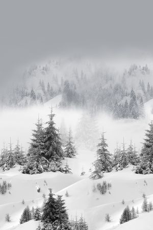 风景定位印花华亿平台图片