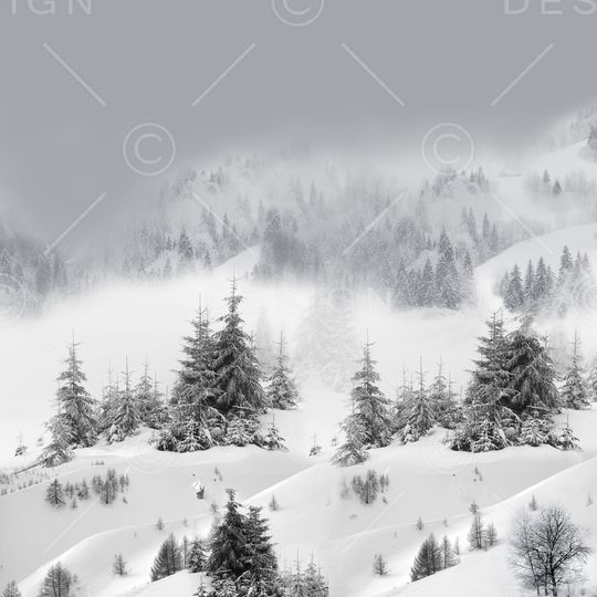 风景定位印花华亿平台图片