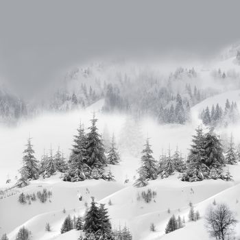 风景定位印花华亿平台图片