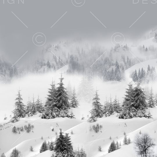 风景定位印花华亿平台图片