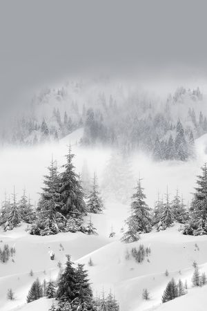 风景定位印花华亿平台图片