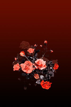 女装定位花印花华亿平台图片