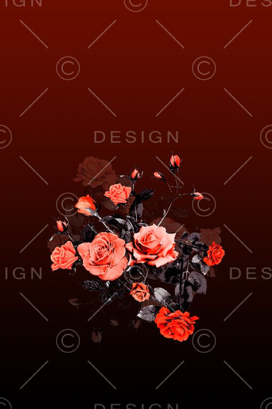 女装定位花印花华亿平台图片