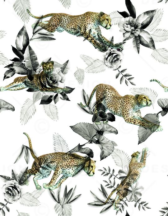 男装满版花印花华亿平台图片