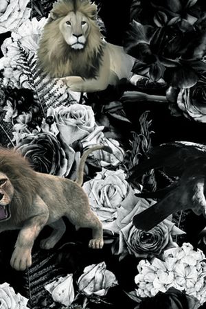 男装满版花印花华亿平台图片