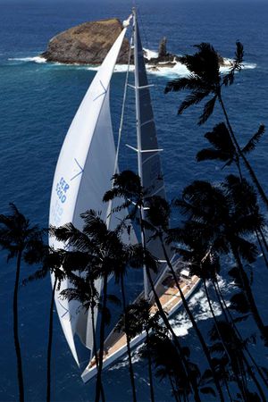 男装印花华亿平台图片