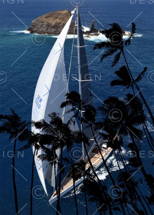 男装印花华亿平台图片