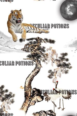 男装满版花印花华亿平台图片