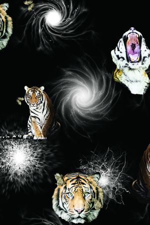 几何印花华亿平台图片