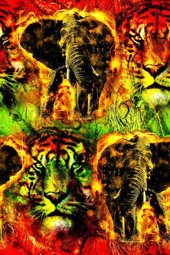 大象印花华亿平台图片