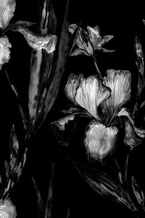 黑底花卉印花华亿平台图片