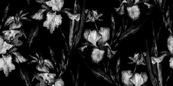 黑底花卉印花华亿平台图片