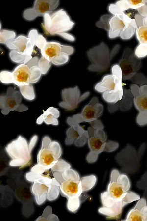 趋势华亿平台印花华亿平台图片