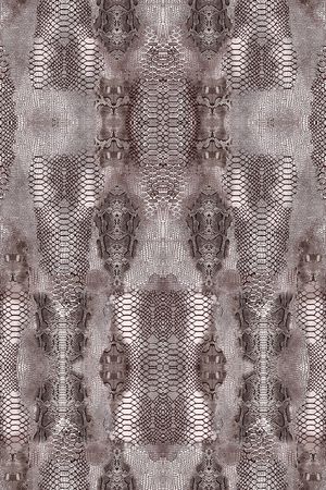 豹纹印花华亿平台图片