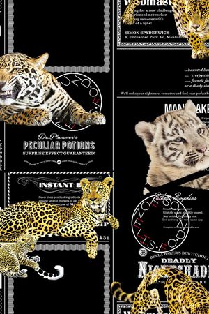 男装满版花印花华亿平台图片