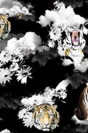 男装满版花印花华亿平台图片