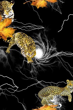 男装满版花印花华亿平台图片